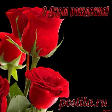 Дима Рокджой