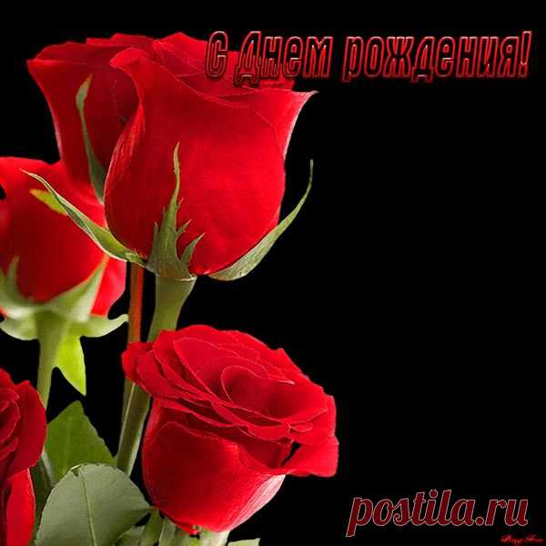 Дима Рокджой