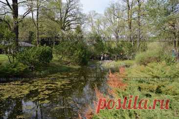 A pond in a city park with a lot of trees and bushes surrounding it. The water is calm and there are some people walking around the area. (2013 год) Редакционное фото, фотограф Ilaronsia / Фотобанк Лори