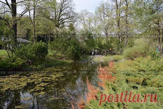 A pond in a city park with a lot of trees and bushes surrounding it. The water is calm and there are some people walking around the area. (2013 год) Редакционное фото, фотограф Ilaronsia / Фотобанк Лори