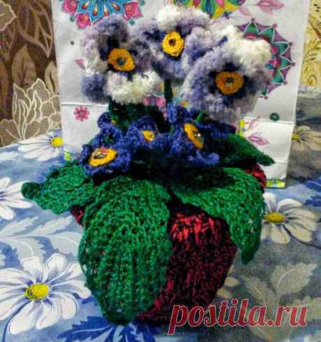 Фиалки в горшочке.
