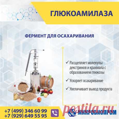 Глюкоамилаза (Глюкаваморин) - фермент расщепляет молекулы декстринов и крахмала с образованием глюкозы. Отличительной особенностью глюкоамилазы является способность в десятки раз быстрее гидролизовать высокомолекулярный субстрат, чем олиго- и дисахариды. Эффективно применяется для осахаривания крахмала и крахмалосодержащего сырья. Глюкоамилаза является ферментом широкого применения и эффективно используется в технологических процесса различных отраслей.