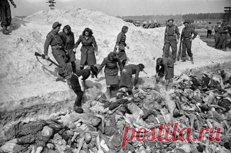 Женщины из СС. «Прекрасное чудовище» Ирма Грезе | Исторический дискуссионный клуб
Вот если бы президент Украины хоронил расстрелянных украинцев , возможно и стрелять бы перестали
