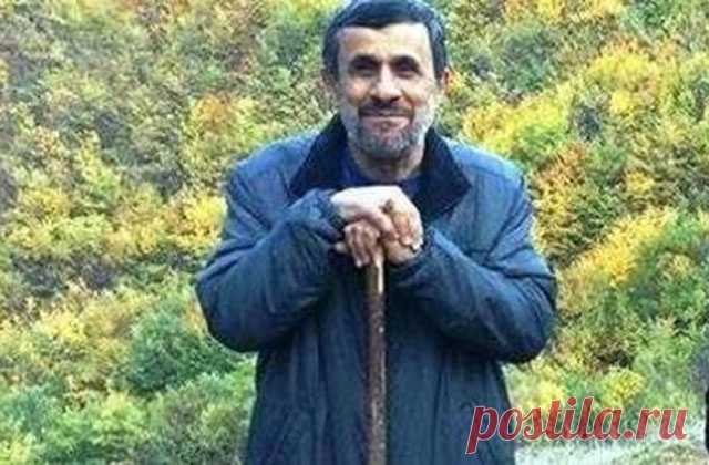 Бывший президент Ирана пасет овец