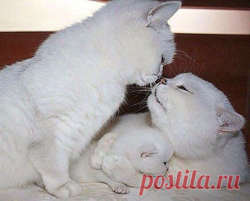 Vadim Terno
УНИКАЛЬНЫЙ КАДР.....