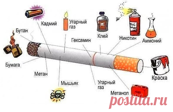 52 шпаргалки, которые вы точно захотите сохранить