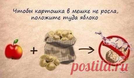 (2) Мой Мир@Mail.Ru