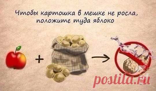 (2) Мой Мир@Mail.Ru