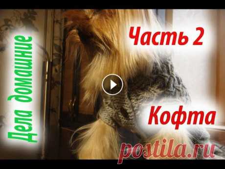 Кофта для собаки своими руками.Подробная инструкция в трех частях.Так же на канале вы найдете и другую вязаную одежду на собачек,различные выкройки,со...