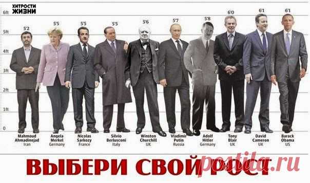 Выбери свой рост и посмотри результат. | Страна Полезных Советов