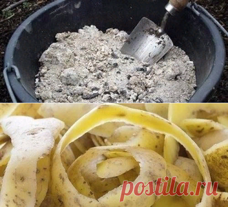 ОРГАНИЧЕСКИЕ ПОДКОРМКИ ДЛЯ РАССАДЫ И КОМНАТНЫХ РАСТЕНИЙ.