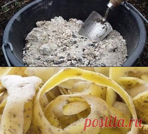 ОРГАНИЧЕСКИЕ ПОДКОРМКИ ДЛЯ РАССАДЫ И КОМНАТНЫХ РАСТЕНИЙ.