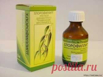 Хлорофиллипт - Естественный антибиотик