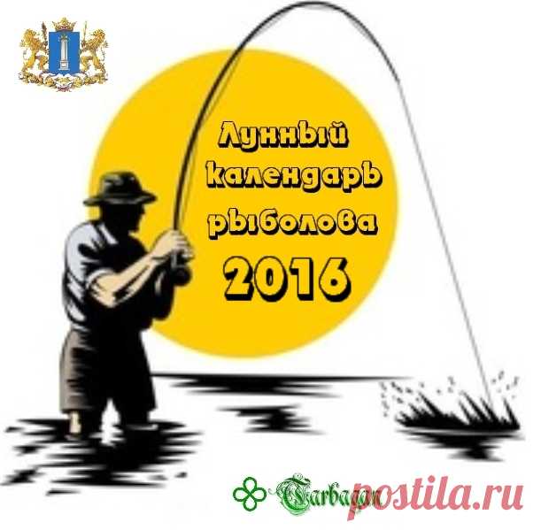 Лунный календарь рыболова 2016. Благоприятные дни для рыбалки на 2016 год?