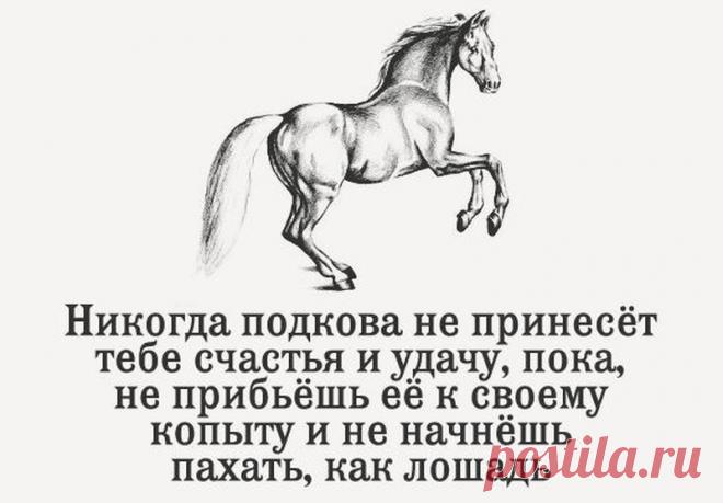 Юмор о работе и о тех кто пашет как лошадь: анекдоты, веселые картинки