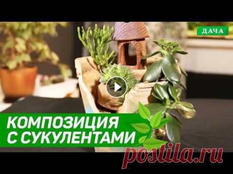 КОМПОЗИЦИЯ С СУККУЛЕНТАМИ СВОИМИ РУКАМИ | СДЕЛАЙ САМ

вязаный коврик квадратный крючком
