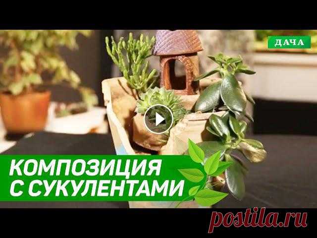 КОМПОЗИЦИЯ С СУККУЛЕНТАМИ СВОИМИ РУКАМИ | СДЕЛАЙ САМ

вязаный коврик квадратный крючком