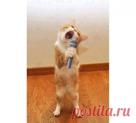 Я ЛЮБИЛА.... Я СТРАДАЛА... ТЫ дебил а Я не знала:-):-):-)