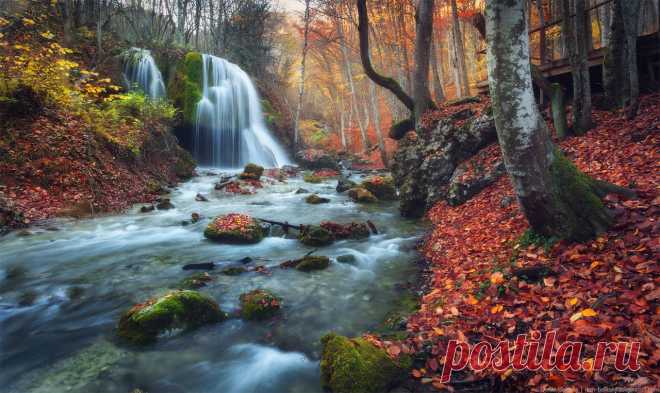 The park :: Elreydelmundo0