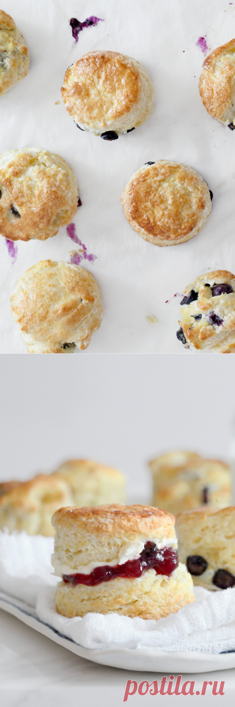 Meyer Lemon & Blueberry Cream Scones | Natalie Eng | Pâtisserie & Food Photography