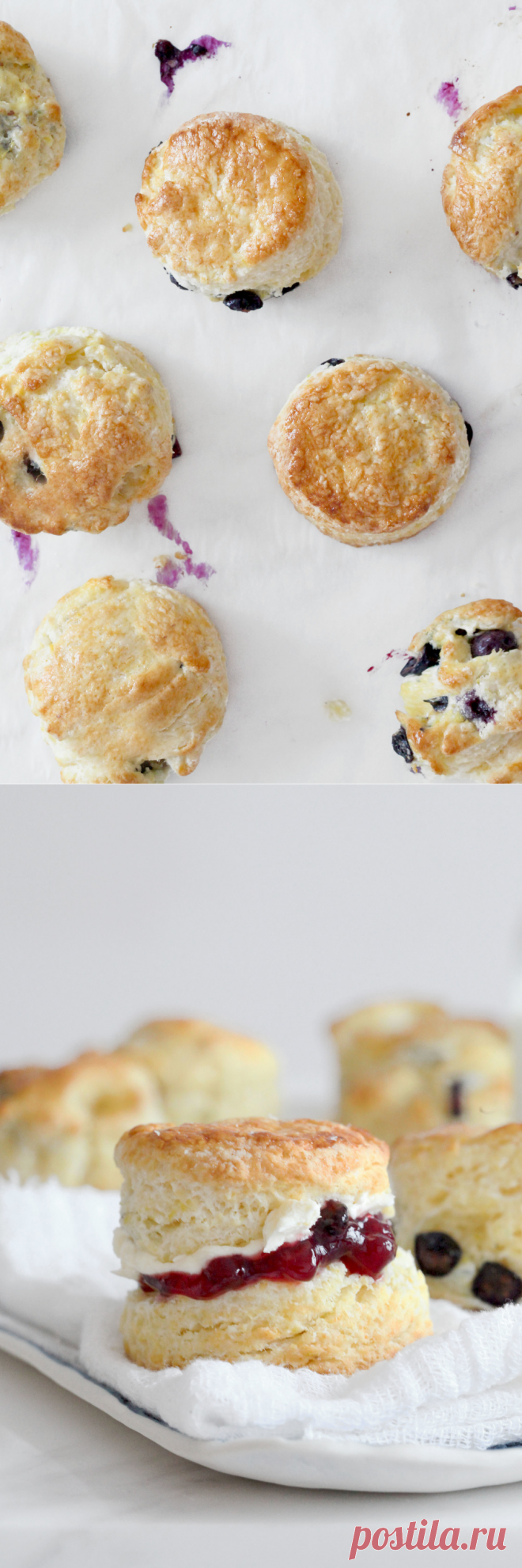 Meyer Lemon & Blueberry Cream Scones | Natalie Eng | Pâtisserie & Food Photography