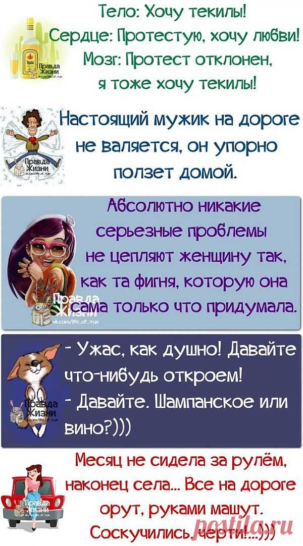 Фразочки в картинках.