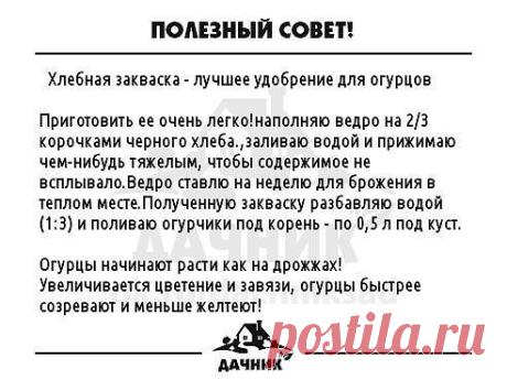 (53) Одноклассники