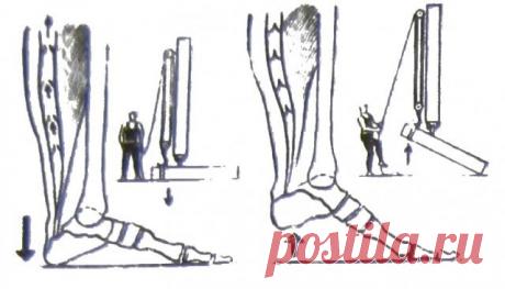 ПОСТУЧИТЕ ПЯТКАМИ О ПОЛ
(в СССР было очень много простых, но гениальных решений, однако не пропускаемых официальной медициной)
Такая чудодейственная виброгимнастика, предложенная академиком Микулиным, способна избавлят…