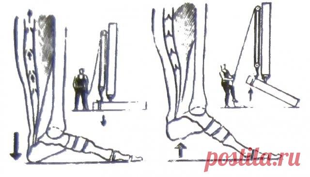 ПОСТУЧИТЕ ПЯТКАМИ О ПОЛ 



(в СССР было очень много простых, но гениальных решений, однако не пропускаемых официальной медициной) 

Такая чудодейственная виброгимнастика, предложенная академиком Микулиным, способна избавлят…