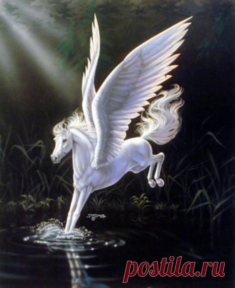 Мифические лошади – Пегас » Сайт о лошадях KoHuKu.ru