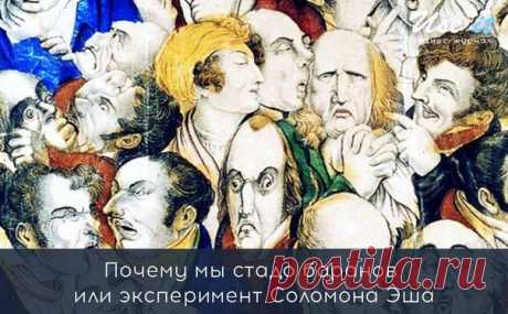 Почему мы стадо баранов или эксперимент Соломона Эша / Основы бизнеса