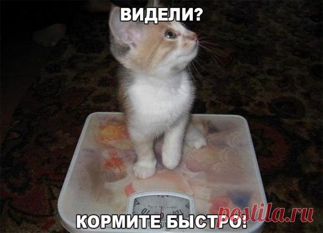 Ржачные и угарные картинки с надписями (25 фото)