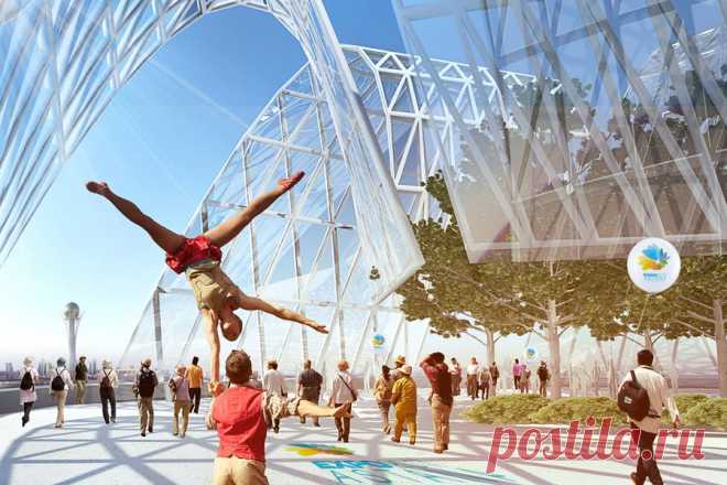 Kann Finch(Австралия) 
EXPO 2017