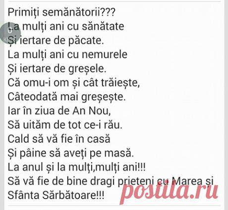 Света Ротарь