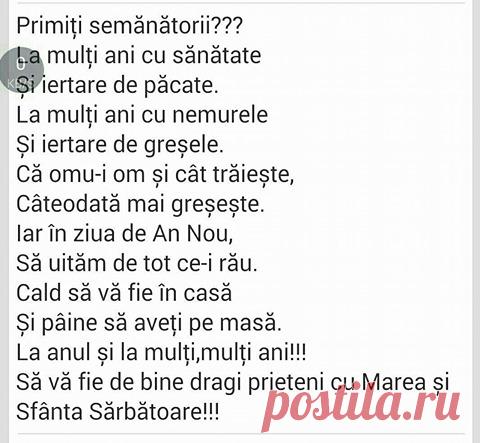 Света Ротарь