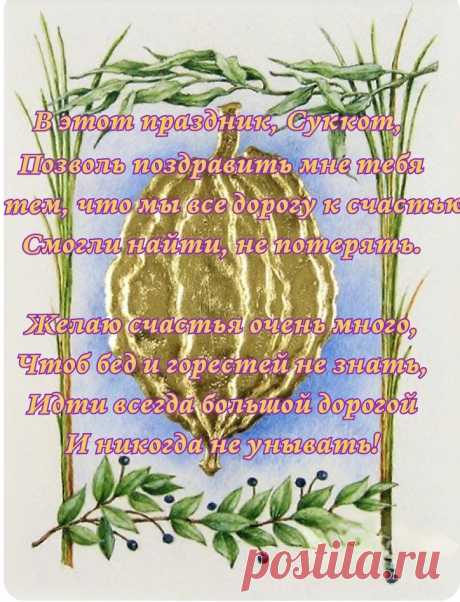 С Суккотом, праздником Кущей!