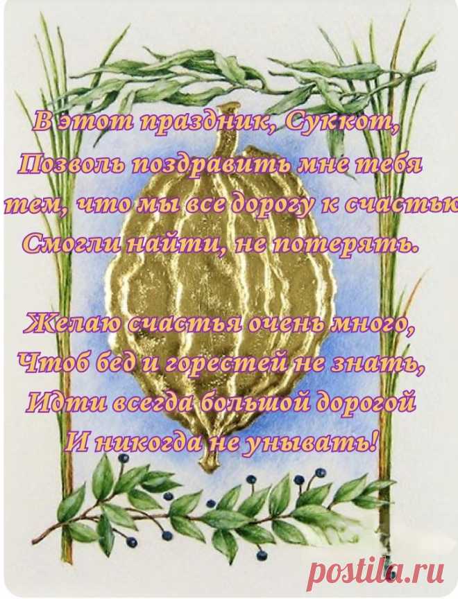 С Суккотом, праздником Кущей!