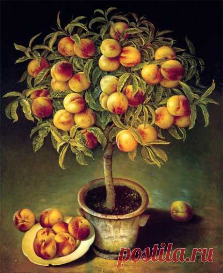 Художник Jose Escofet.