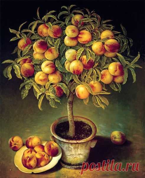 Художник Jose Escofet.