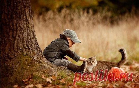 Фотограф, в которого влюблены дети и животные