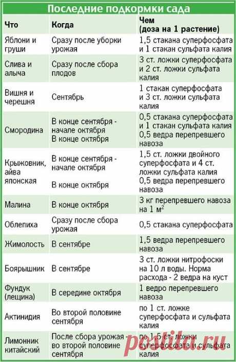 (52) Одноклассники