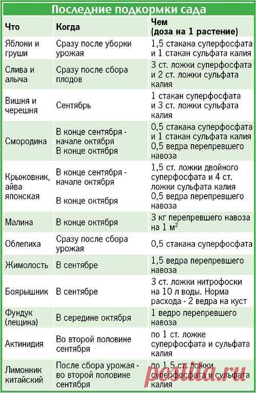(52) Одноклассники