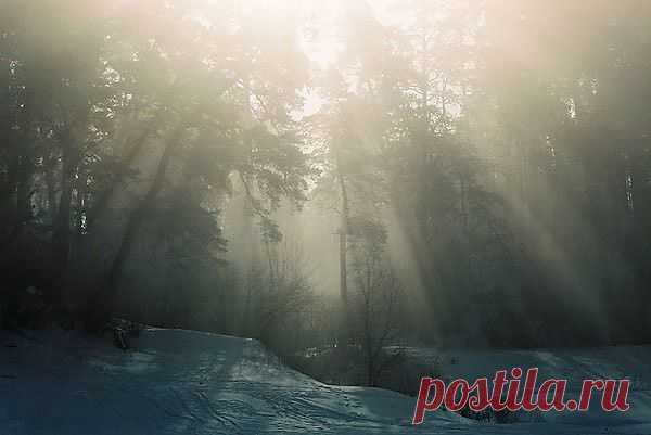 ТУМАНЫ. Фотографии.