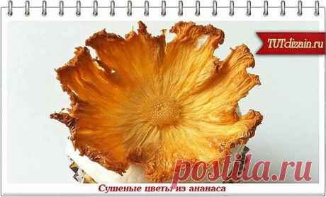 Сушеные цветы из ананаса + Фото » Дизайн &amp; Декор своими руками