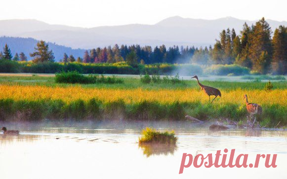 (99) Одноклассники Кусочек Рая