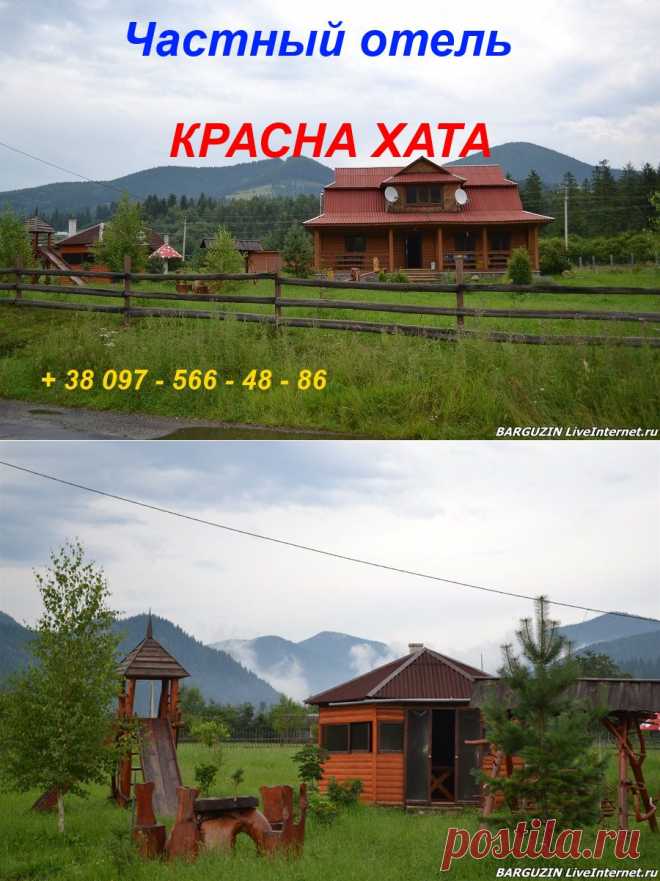 Отдых в Карпатах.