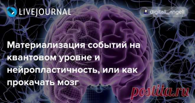 Материализация событий на квантовом уровне и нейропластичность, или как прокачать мозг Старость начинается с того момента, когда человек перестает учиться (с) Текст отсюда в дополнение ко вчерашнему посту Реинкарнация, квантовый суперкомпьютер Сознания и сборка аспектов в многомерности Доктор Джо Диспенза (Joe Dispenza) стал одним из первых, кто начал исследовать влияние сознания на…
