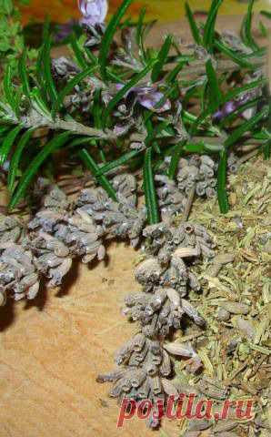 Травяные чаи для похудения. Нежелательный набор веса происходит по разным причинам: Неправильное питание, малоподвижный образ жизни