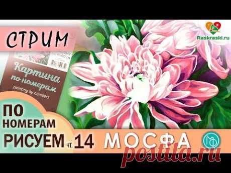 Раскрашиваем картину по номерам МОСФА &quot;Астры&quot; 14 ЧАСТЬ в прямом эфире! Рисовать просто! Раскраски