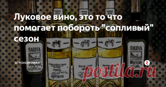 Луковое вино, это то что помогает побороть 